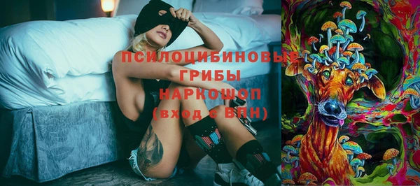 спиды Россошь