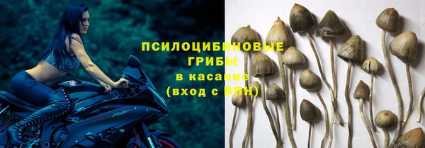 амф Рославль