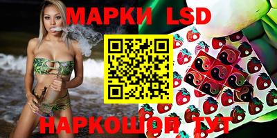 индика Обнинск