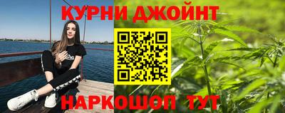 индика Обнинск
