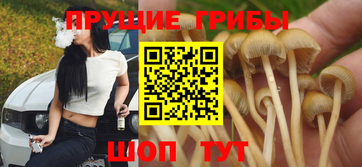 Псилоцибиновые грибы MAGIC MUSHROOMS  Галлюциногенные грибы Magic Shrooms  Полысаево  Вход с VPN 